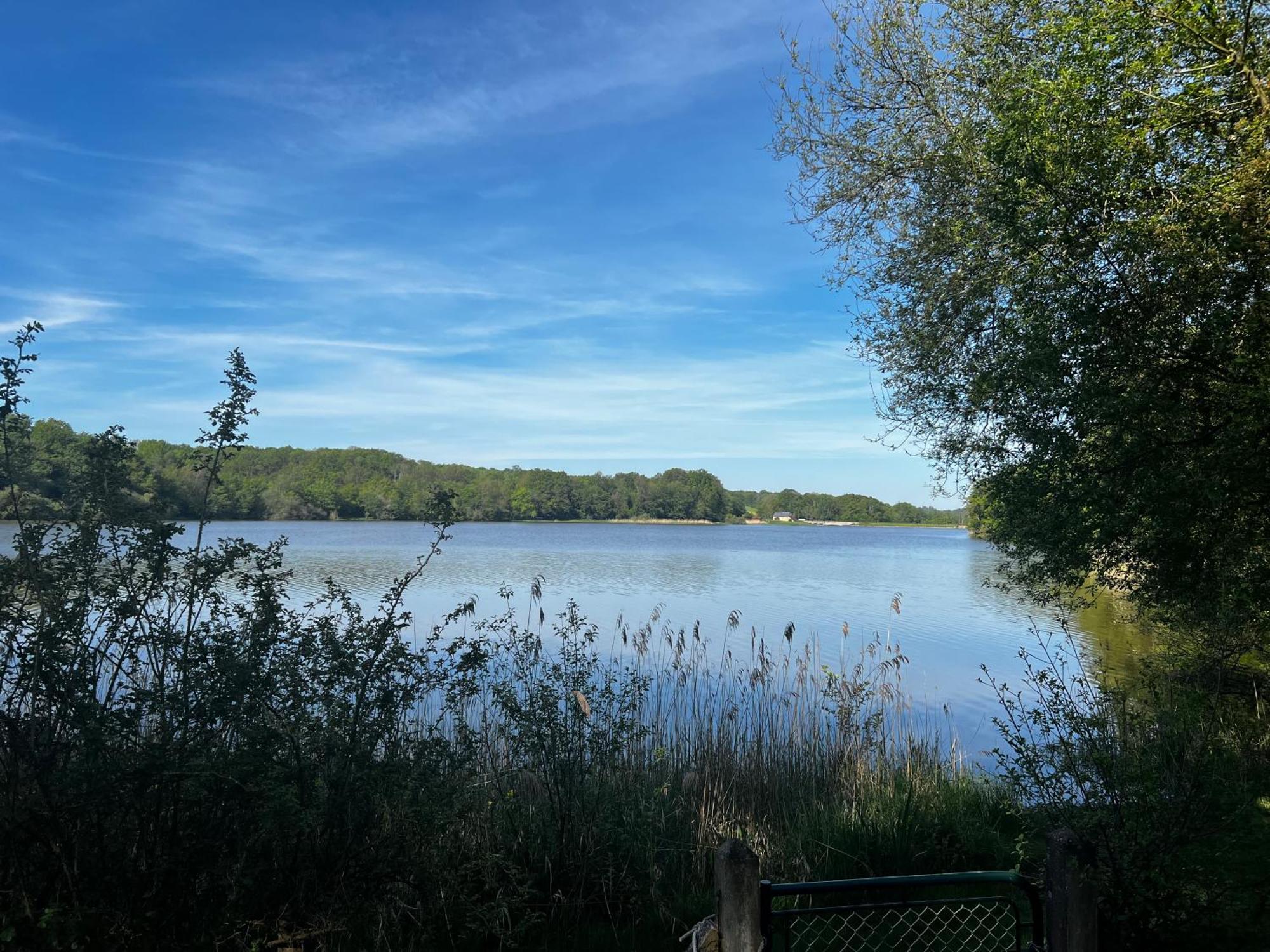 Chalet Au Bord De L'Etang 4 Pers Les Boulmiers Екстер'єр фото